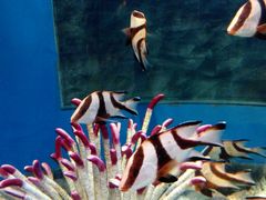 -福州罗源湾海洋世界旅游区