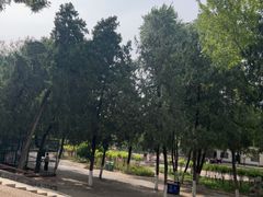 -保定市动物园