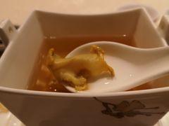 -诺莱仕游艇会