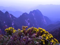 -洛阳白云山景区