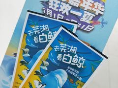 -芜湖新华联大白鲸海洋公园