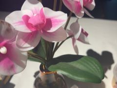 -大鸭梨烤鸭(望京店)