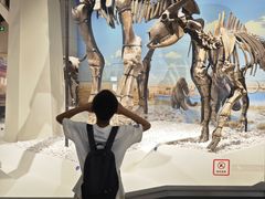 -国家自然博物馆