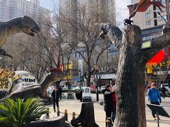 -陕西自然博物馆