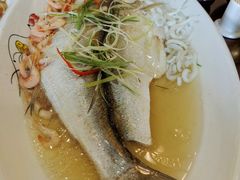 清蒸太湖大白鱼-梁溪河畔·吉府花园(南长街南下塘店)