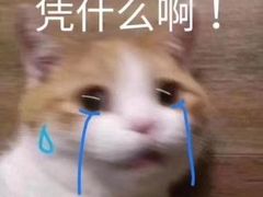 -肖胖子猪油拌粉