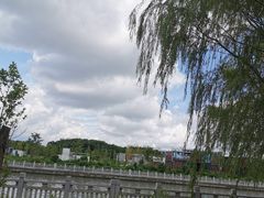 -上海浦江郊野公园-4号停车场