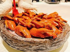 金奖芙蓉鸽-好食上(喜盈门.范城店)