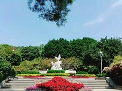 -金鸡山公园