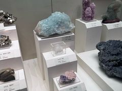 -天津自然博物馆