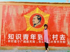 -特克斯八卦城