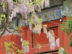 -孔庙和国子监博物馆