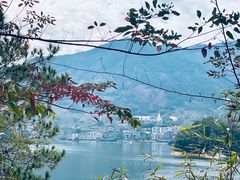 -广州市流溪河国家森林公园