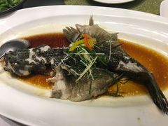 -宝燕壹号(徐汇店)