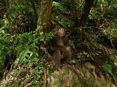 -西岭雪山大飞水景区