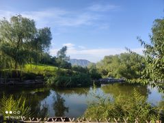 -北京西山国家森林公园