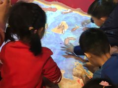 -中国宋庆龄青少年科技文化交流中心