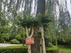 -迎泽公园