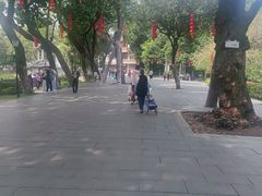 -荔湾湖公园