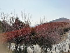 -鬼笑石后山停车场