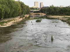 -青州古城