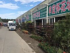 -龙大花卉苗木市场