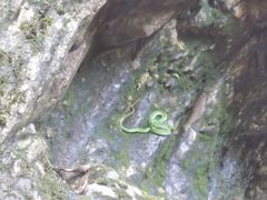 -楠溪江风景名胜区