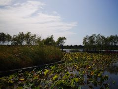 -绿堤公园