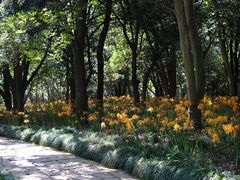 -杭州植物园
