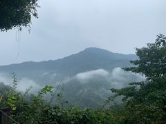 -龙窝子