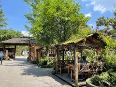 -青城甲(青城山店)