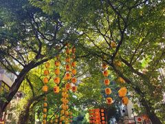 -越秀西湖花市(广州城市广场花卉店)