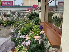 -满月蛋糕定制·商务茶歇·diy课程(万达广场店)