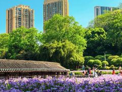 -龙头寺公园