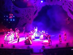 -珠海横琴长隆《卡卡虎奇遇记》