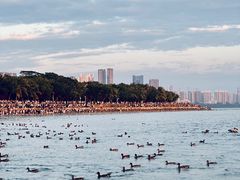 -深圳湾公园(南山区)