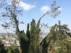 -漳州滨海火山岛自然生态风景区