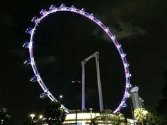 -新加坡摩天观景轮