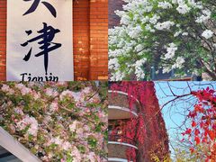 -燕春楼(海河华鼎店)