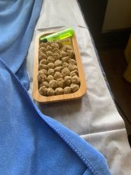 -保丽宝泰母婴护理院·月子中心·产康·中医(常州店)