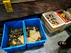 -星龙海鲜(望江东路店)