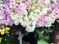 -花木兰花艺MULAN(温馨花园店)