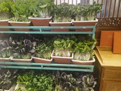 -天和晟烤鸭店(玉泉西街店)