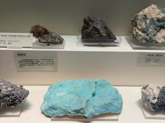 -天津自然博物馆