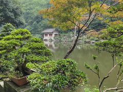 -南山植物园