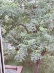 -归位瑜伽＆普拉提馆