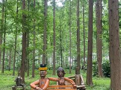 -黄海国家森林公园