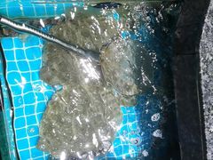 -渔码头食府(蓬莱阁店)