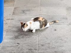 -狼山风景名胜区