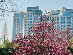 -重庆中央公园(渝北区)